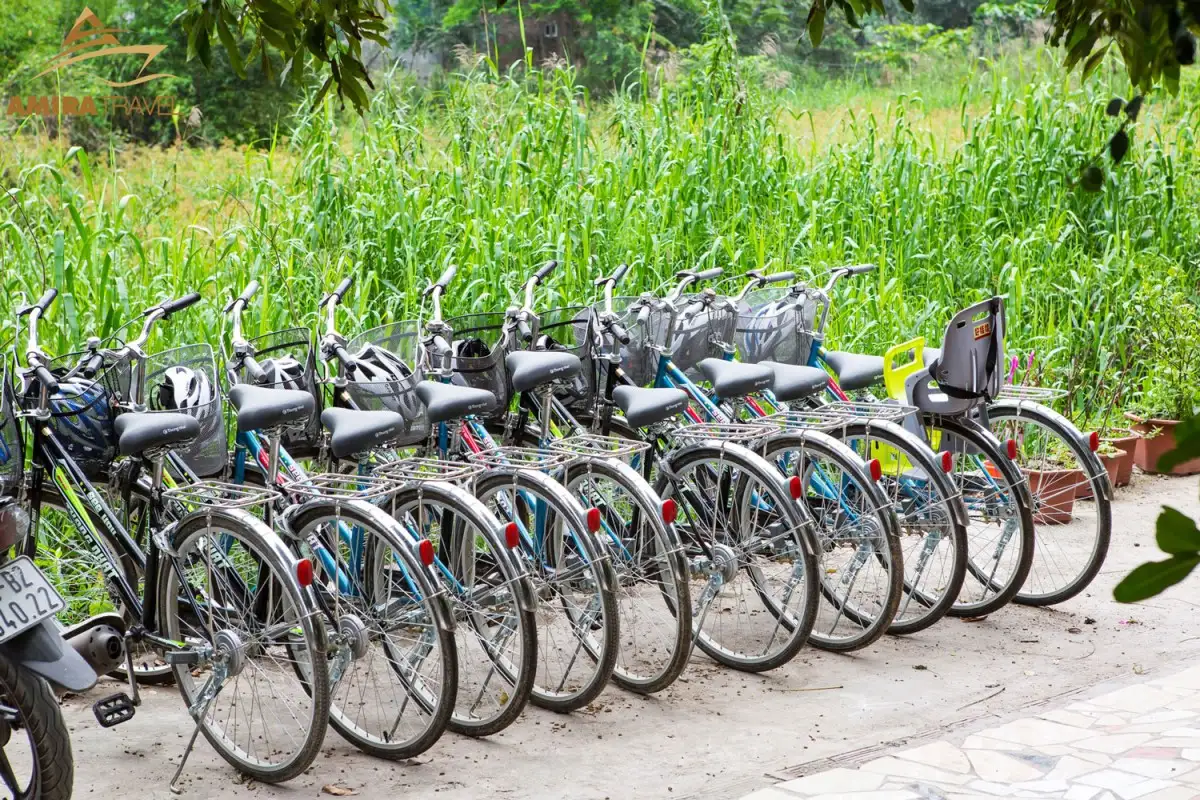 tour-xe-dap-ninh-binh-4